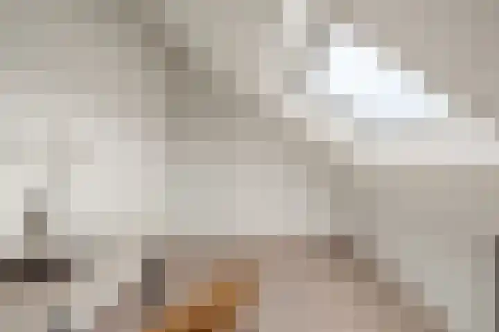 Ananasstraat 11 Utrecht thumbnail 35
