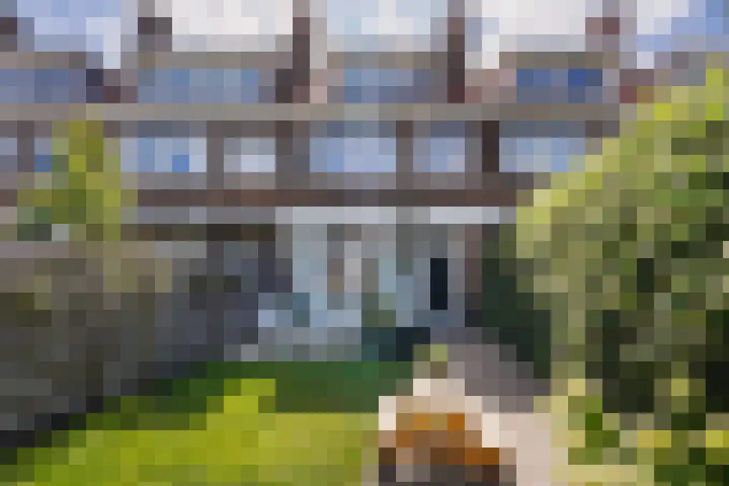 Ananasstraat 113 Den Haag thumbnail 22