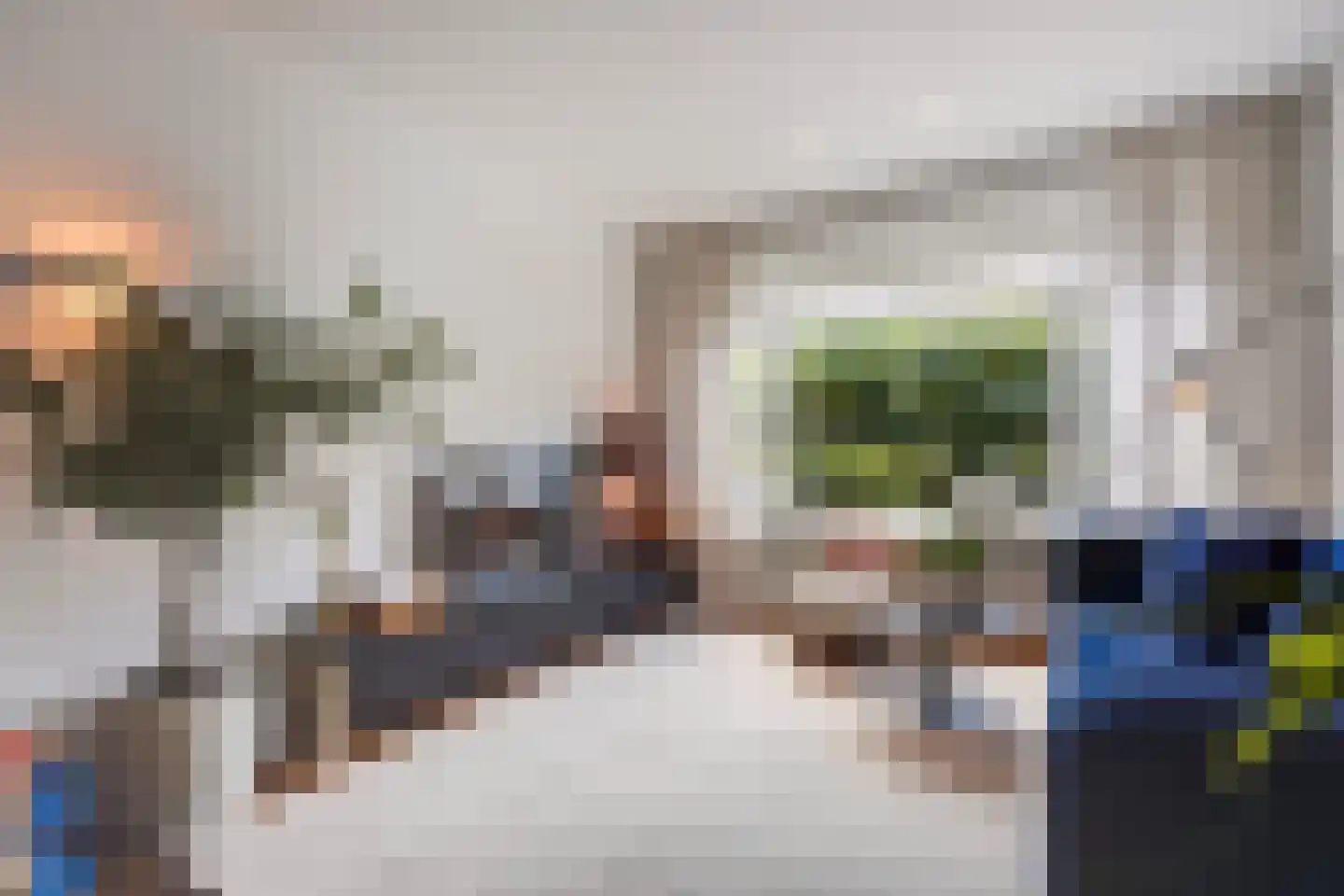 Ananasstraat 113 Den Haag foto 3