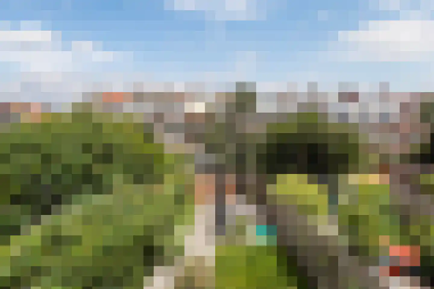 Ananasstraat 113 Den Haag thumbnail 39