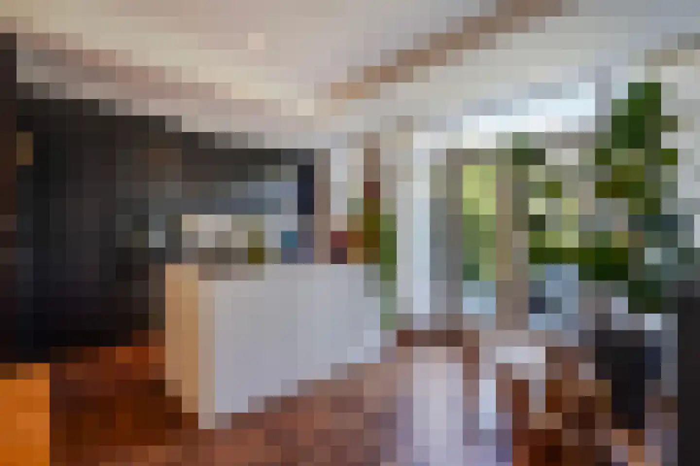 Ananasstraat 113 Den Haag thumbnail 4
