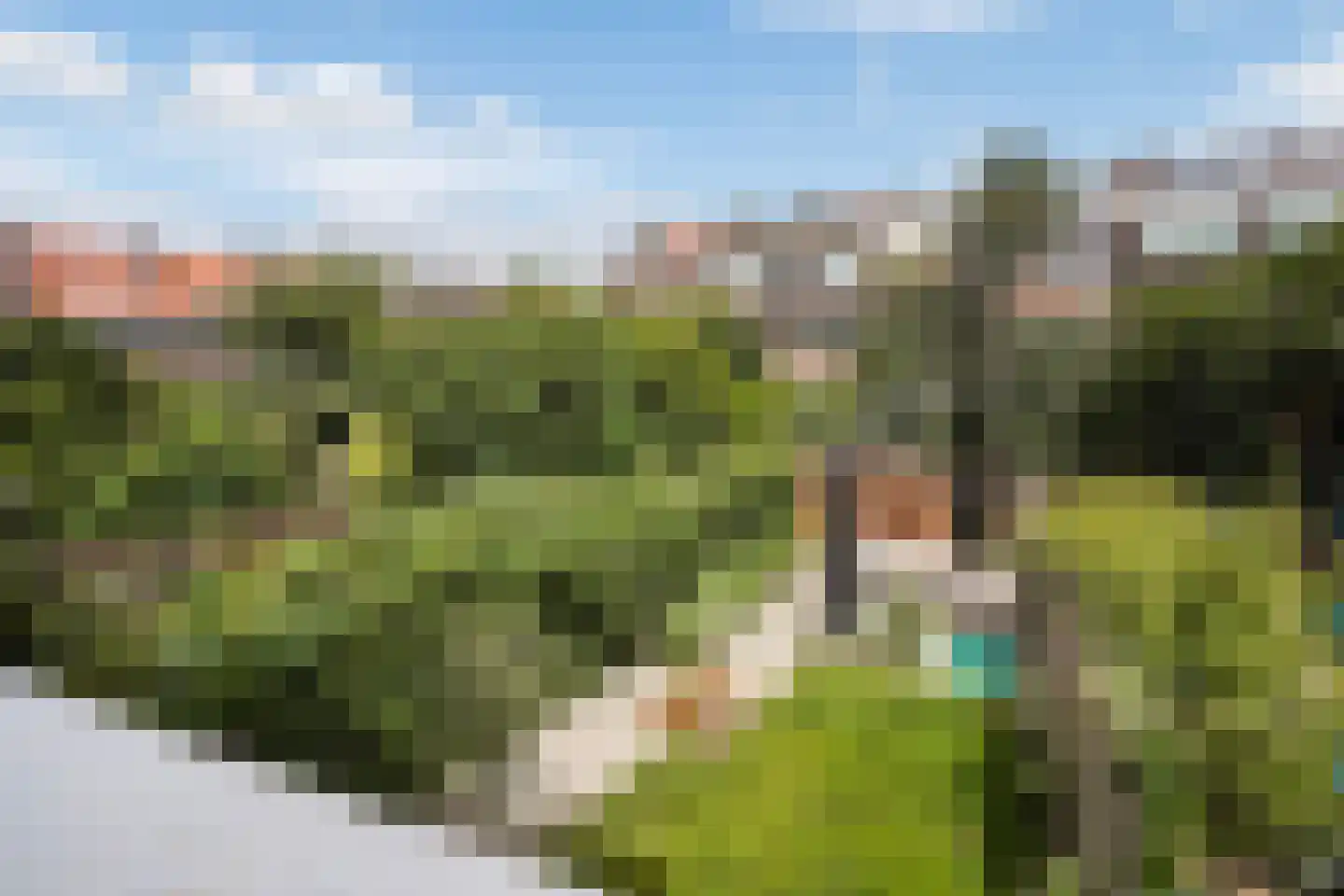 Ananasstraat 113 Den Haag thumbnail 40