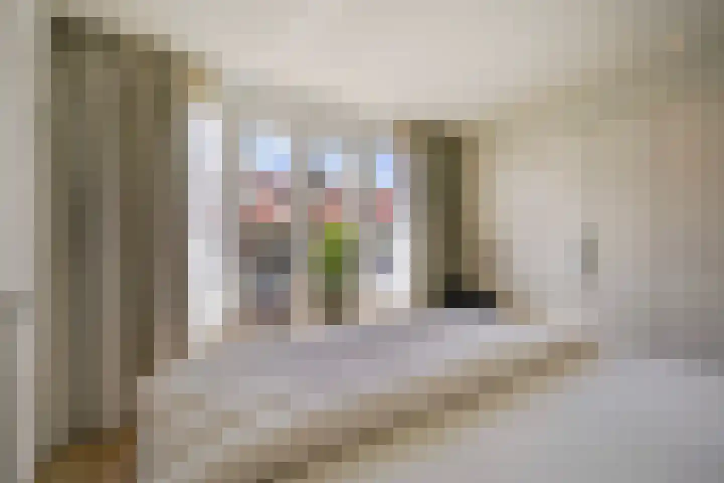 Ananasstraat 113 Den Haag thumbnail 50