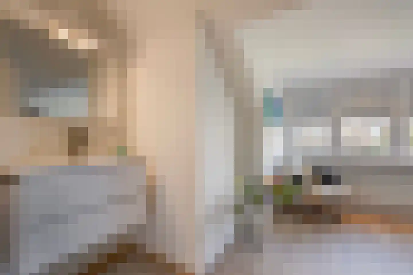 Ananasstraat 113 Den Haag thumbnail 57
