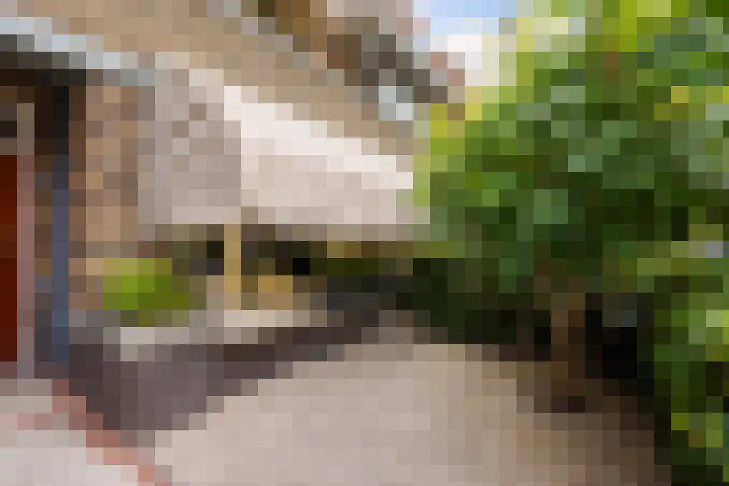Ananasstraat 113 Den Haag thumbnail 6