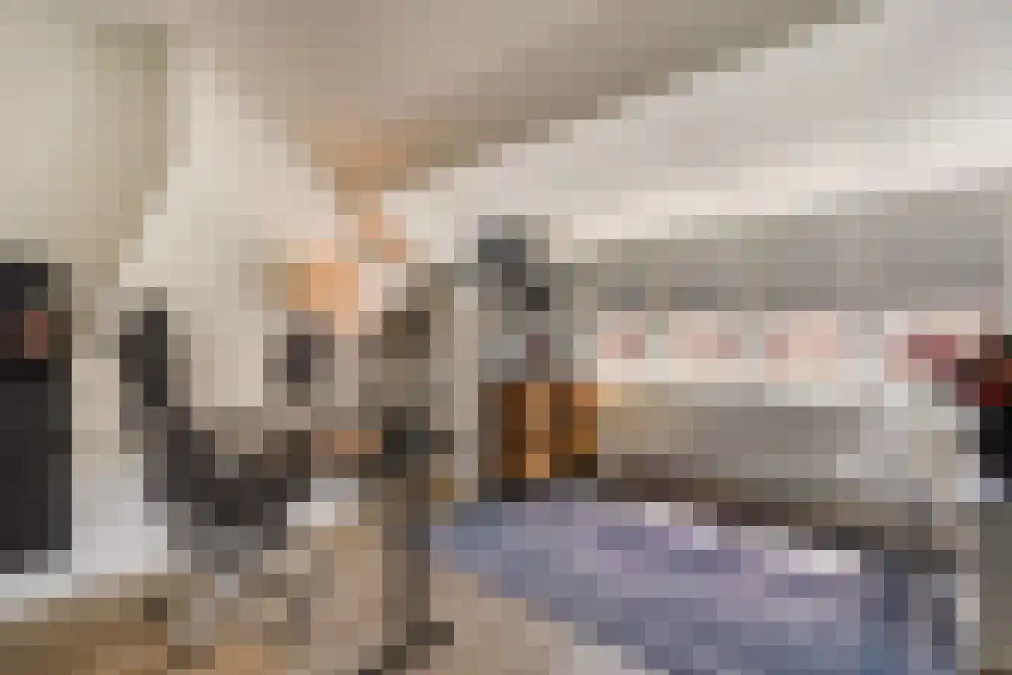 Ananasstraat 113 Den Haag thumbnail 62
