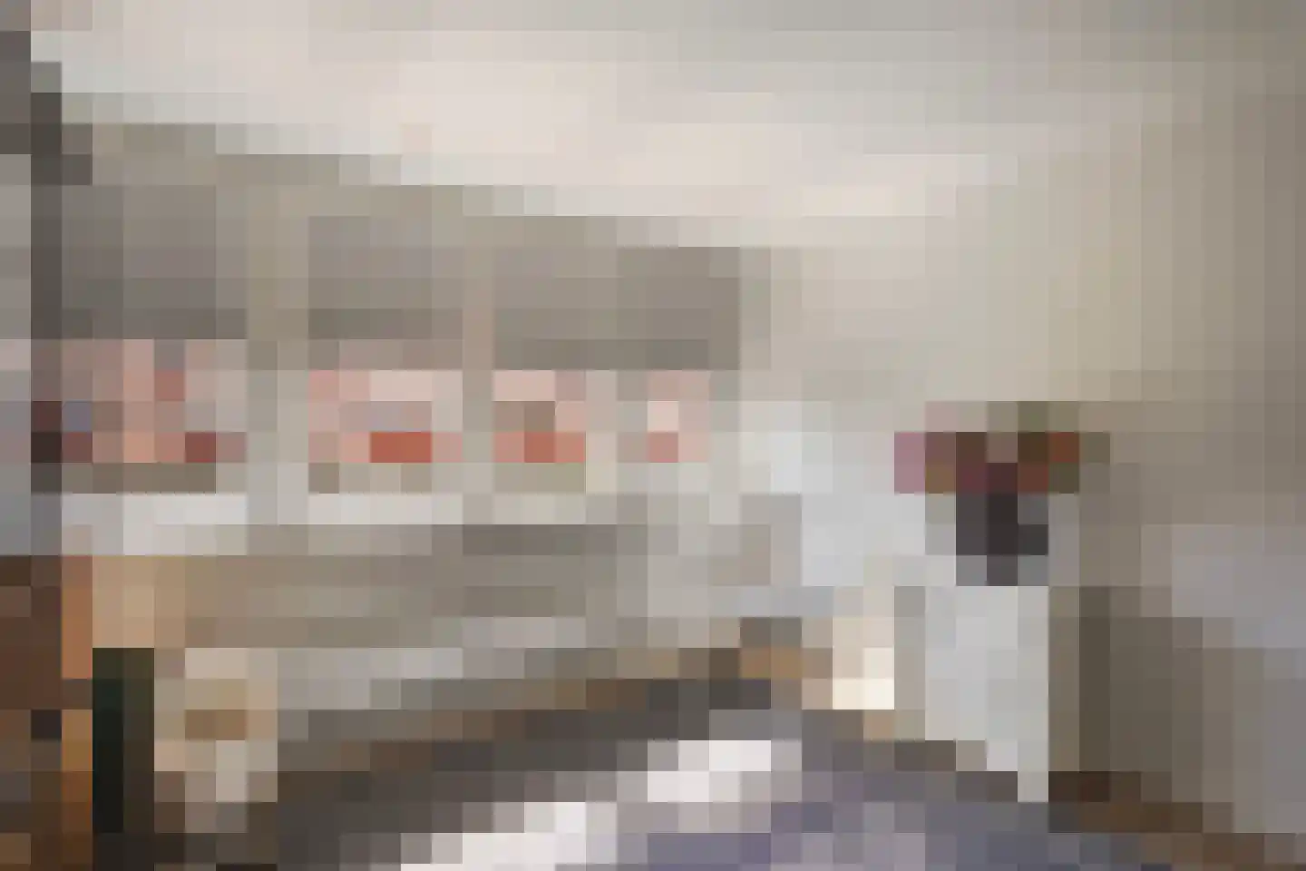 Ananasstraat 113 Den Haag thumbnail 63