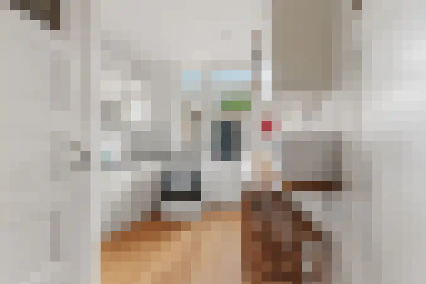 Ananasstraat 123 Den Haag thumbnail 40