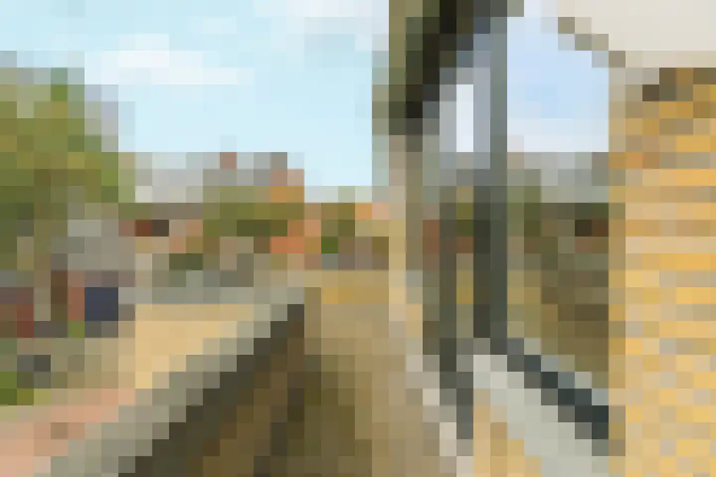Ananasstraat 123 Den Haag thumbnail 54