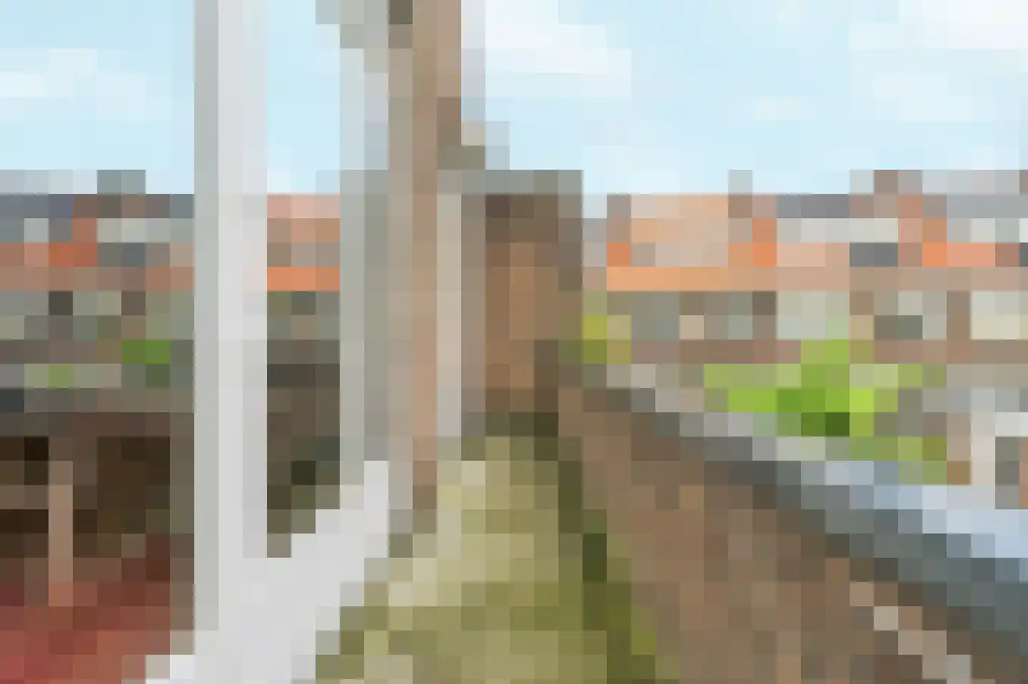 Ananasstraat 123 Den Haag thumbnail 65