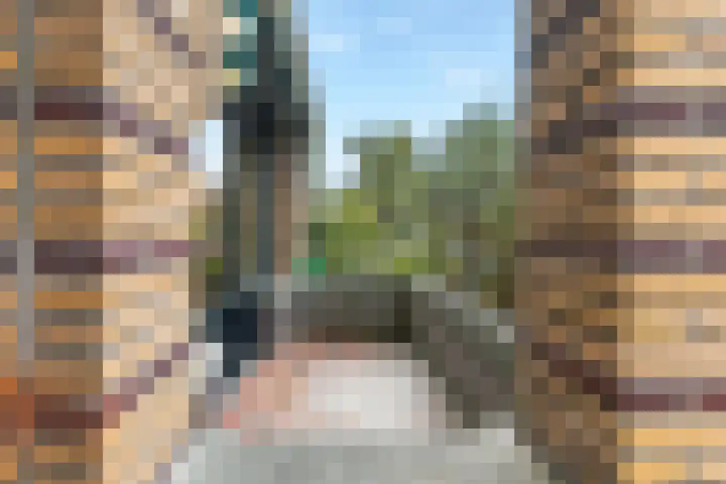 Ananasstraat 123 Den Haag thumbnail 7