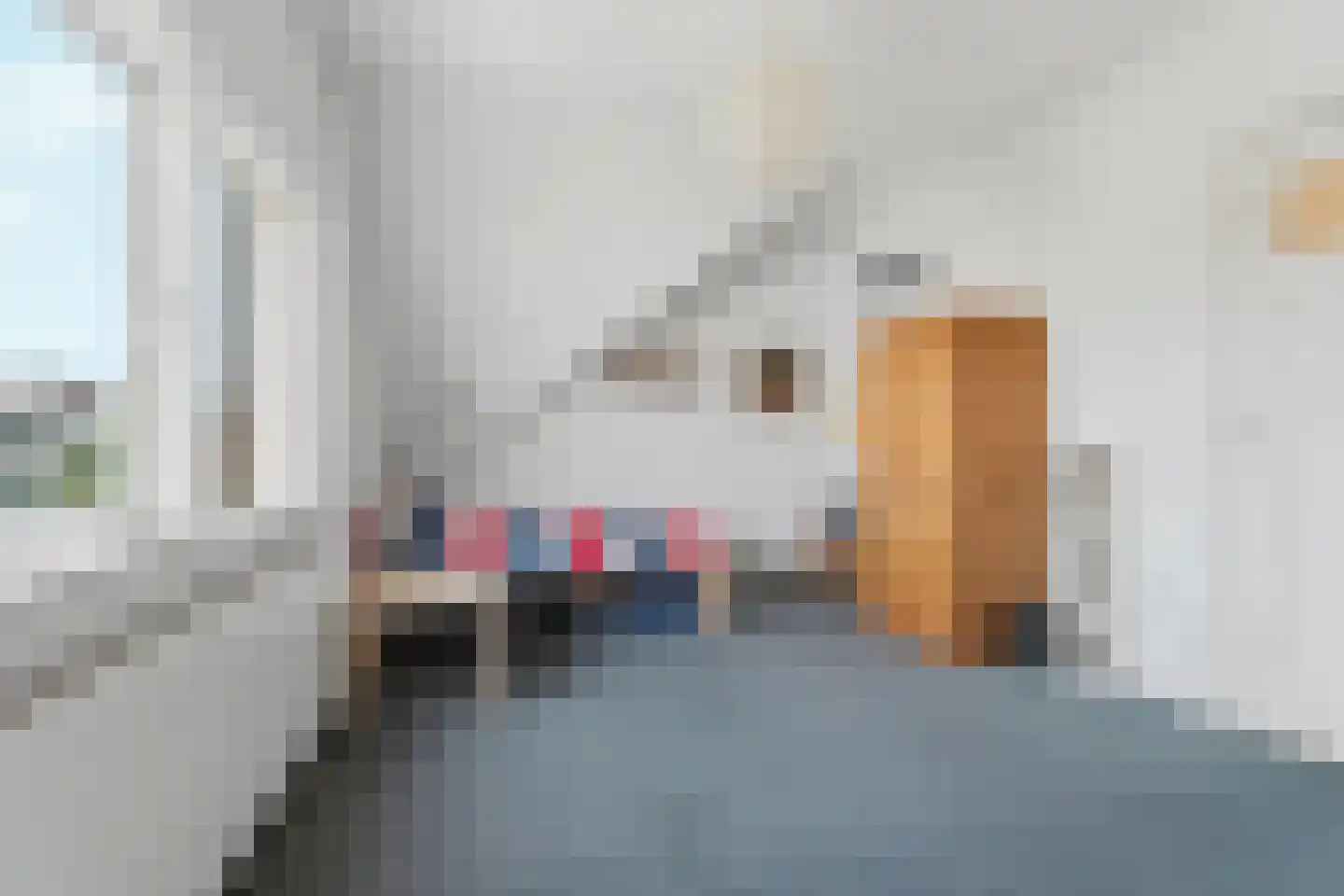 Ananasstraat 123 Den Haag thumbnail 79