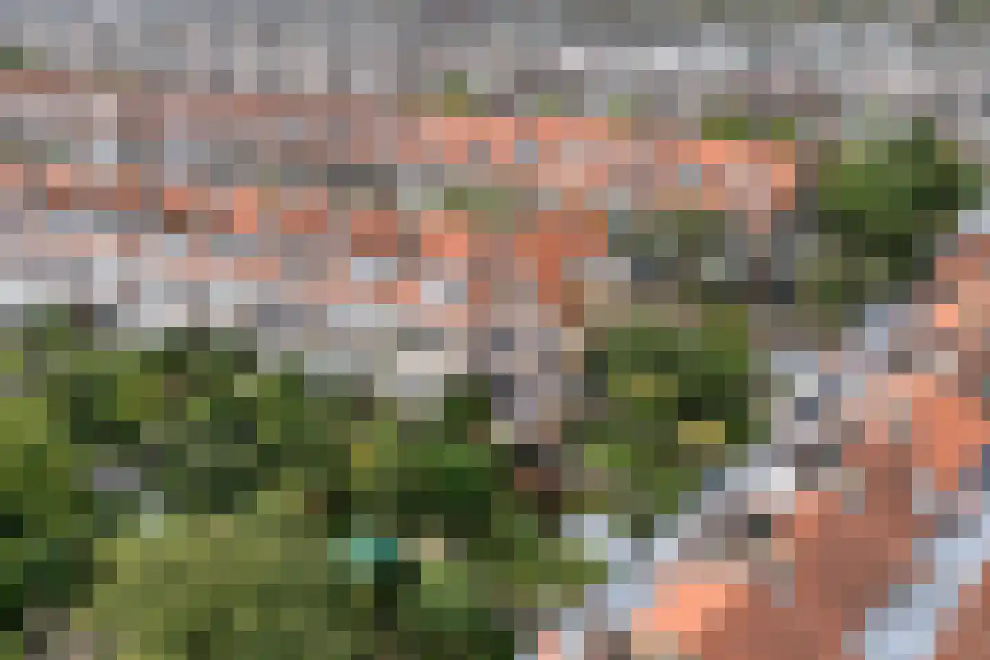 Ananasstraat 123 Den Haag thumbnail 89