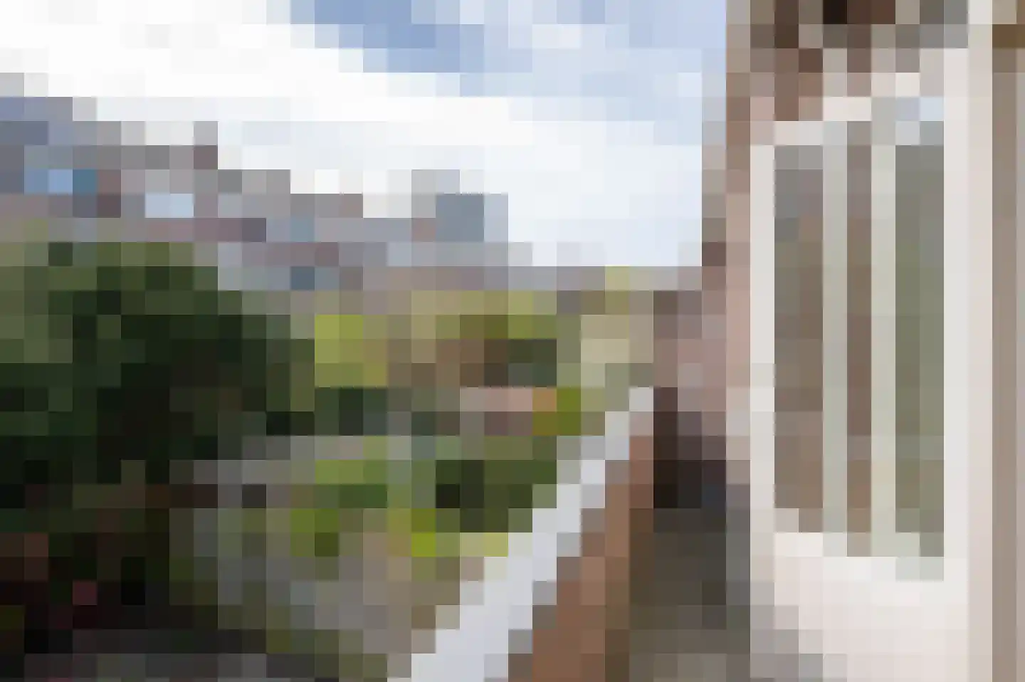 Ananasstraat 126 Den Haag thumbnail 44