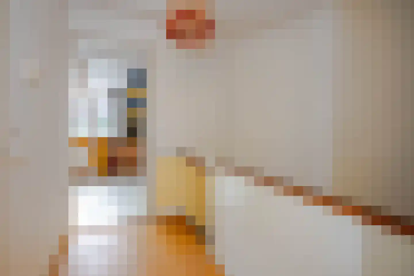 Ananasstraat 126 Den Haag thumbnail 64