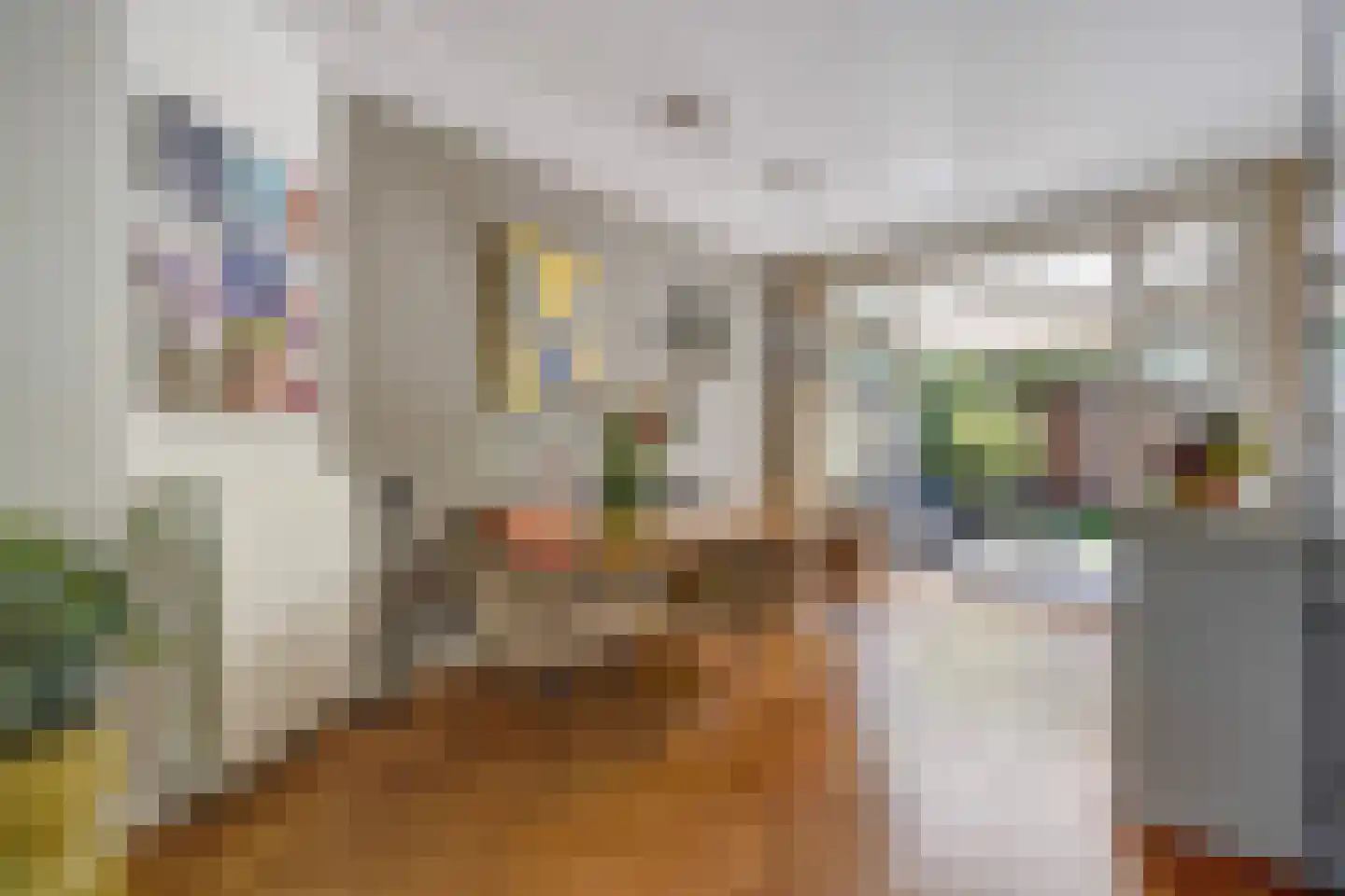 Ananasstraat 138 Den Haag thumbnail 17
