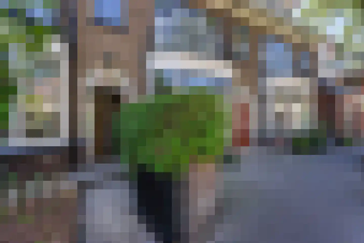 Ananasstraat 138 Den Haag thumbnail 5