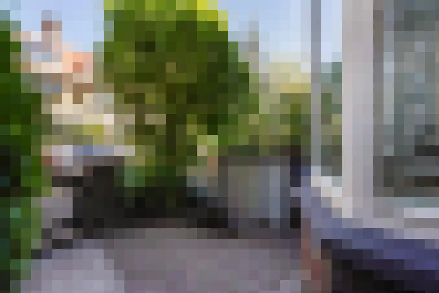 Ananasstraat 138 Den Haag thumbnail 54