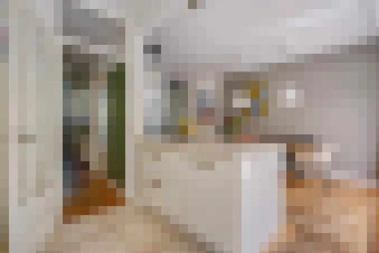 Ananasstraat 138 Den Haag thumbnail 8
