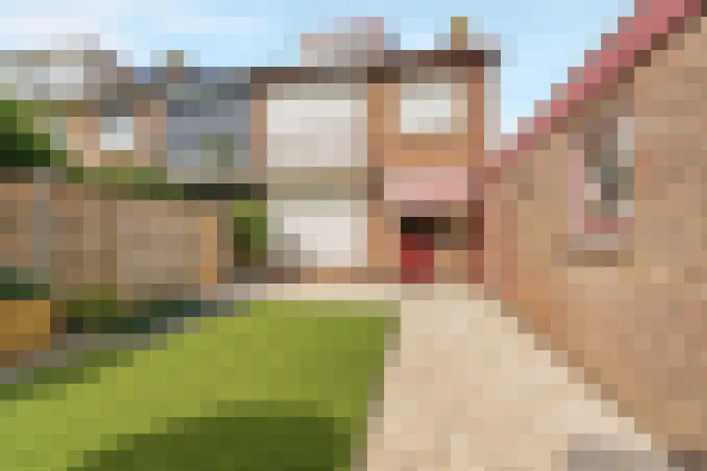 Ananasstraat 16 Nijmegen thumbnail 49