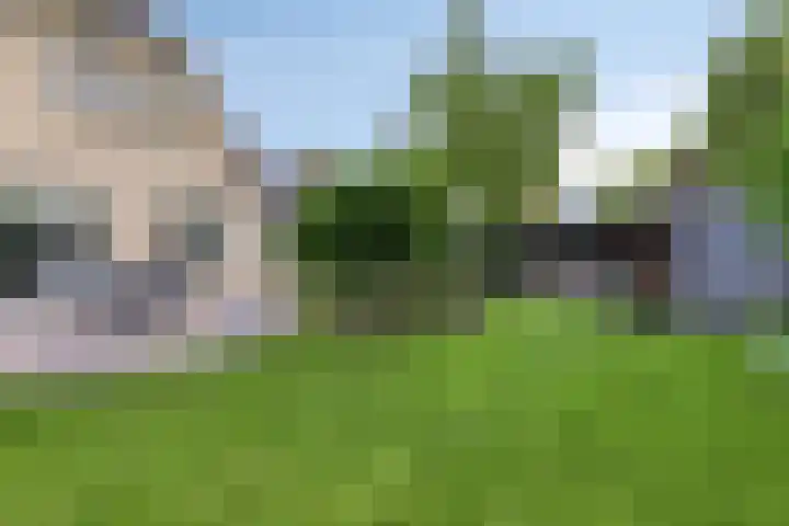 Ananasstraat 6 Almere thumbnail 13