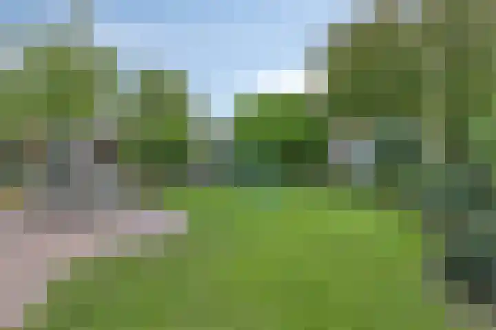 Ananasstraat 6 Almere thumbnail 32