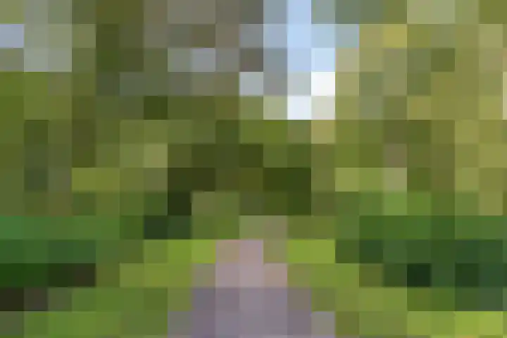 Ananasstraat 6 Almere thumbnail 37
