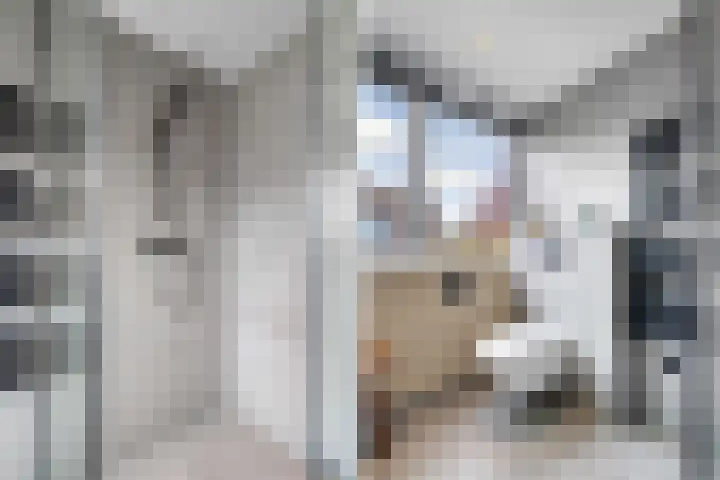 Ananasstraat 7 Almere thumbnail 5