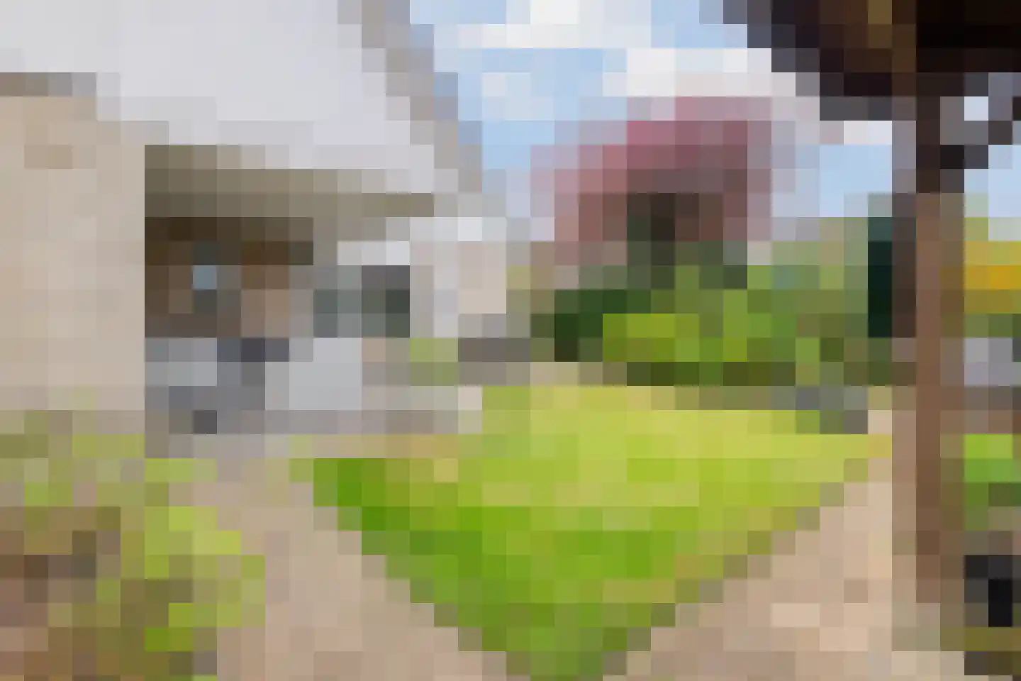 Ananasstraat 7 Almere thumbnail 65