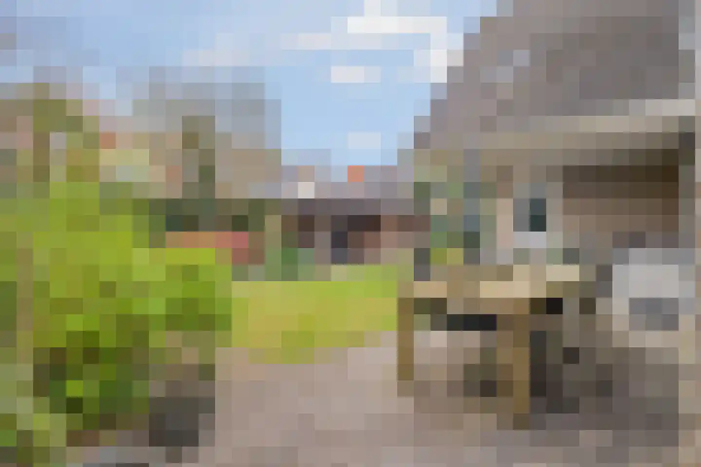 Ananasstraat 7 Almere thumbnail 67