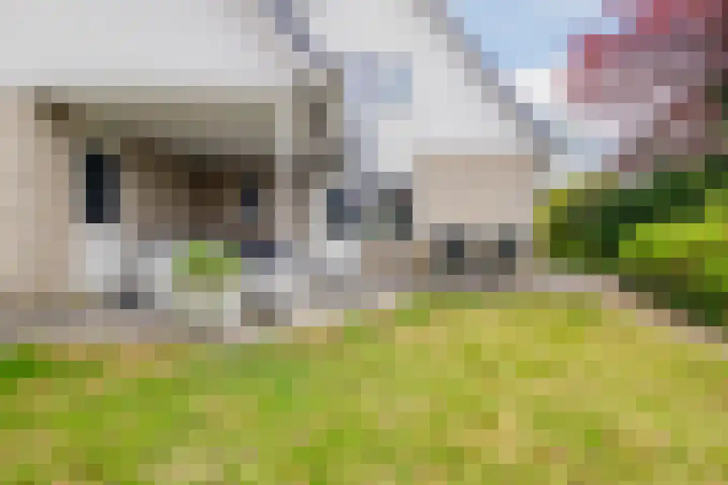 Ananasstraat 7 Almere thumbnail 69