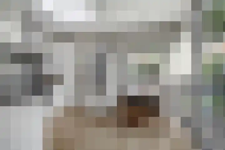 Ananasstraat 8 Nijmegen thumbnail 16