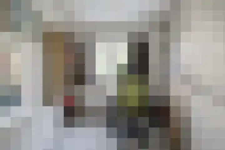 Ananasstraat 8 Nijmegen thumbnail 27