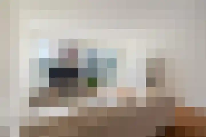 Ananasweg 114 Leiden thumbnail 17