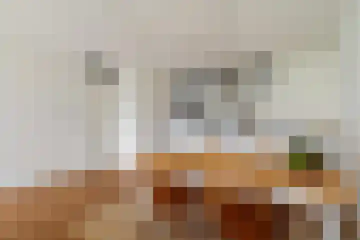 Ananasweg 114 Leiden thumbnail 23