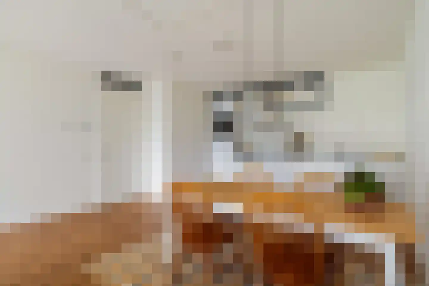 Ananasweg 114 Leiden thumbnail 23