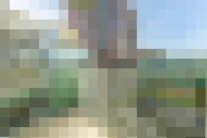 Ananasweg 114 Leiden thumbnail 31