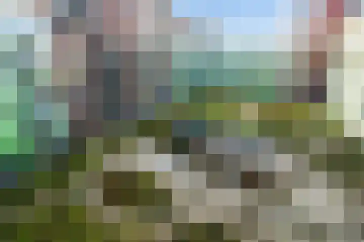 Ananasweg 114 Leiden thumbnail 32