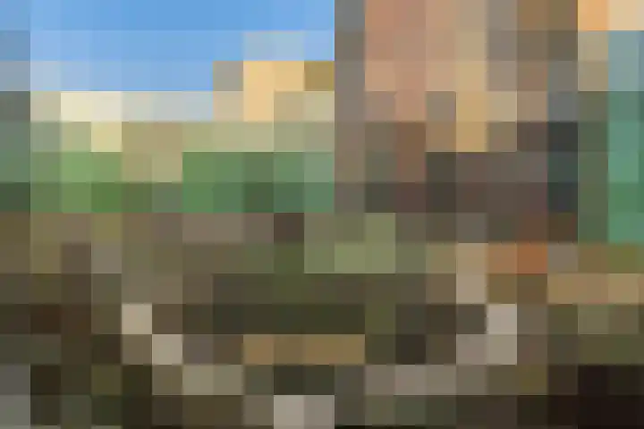 Ananasweg 114 Leiden thumbnail 33