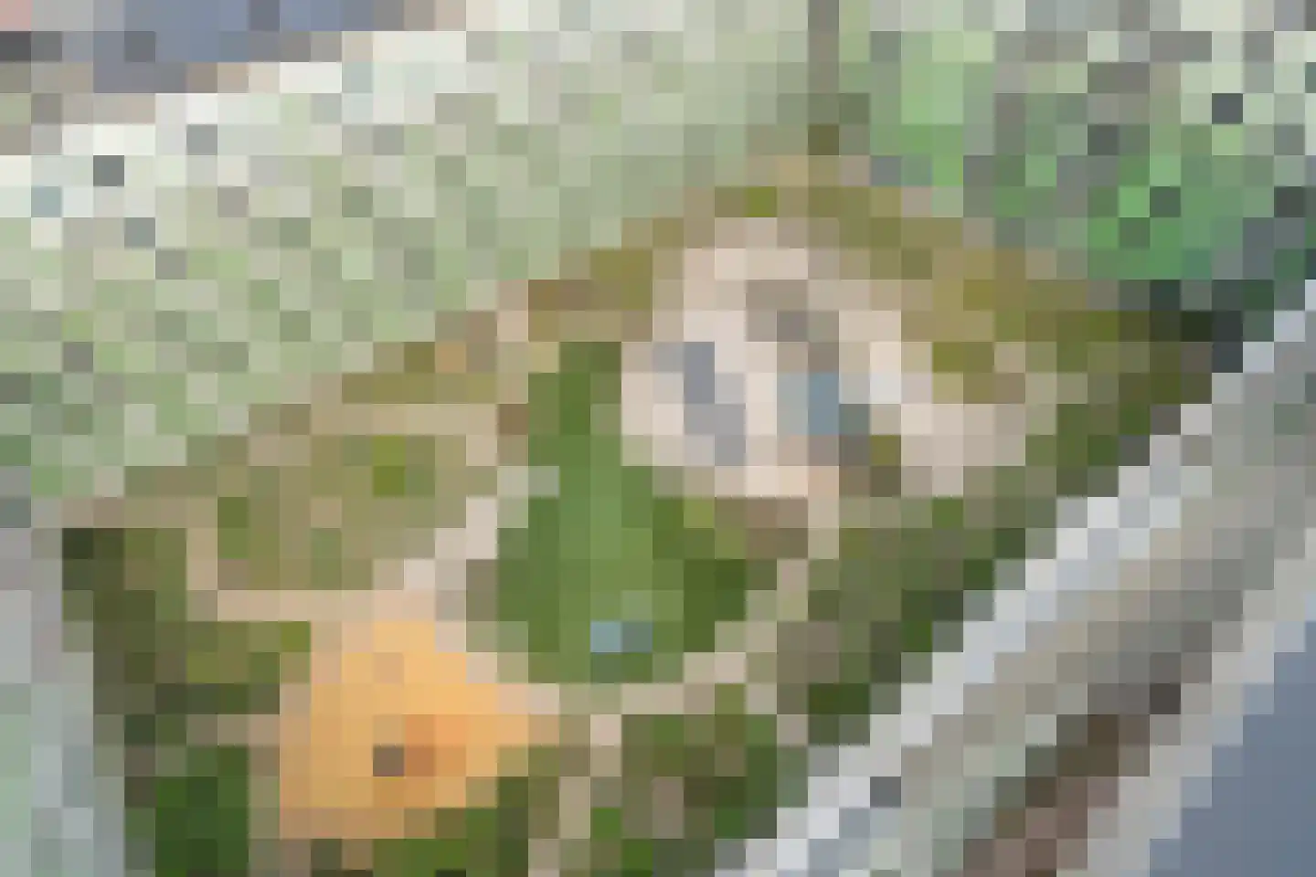 Ananasweg 114 Leiden thumbnail 35