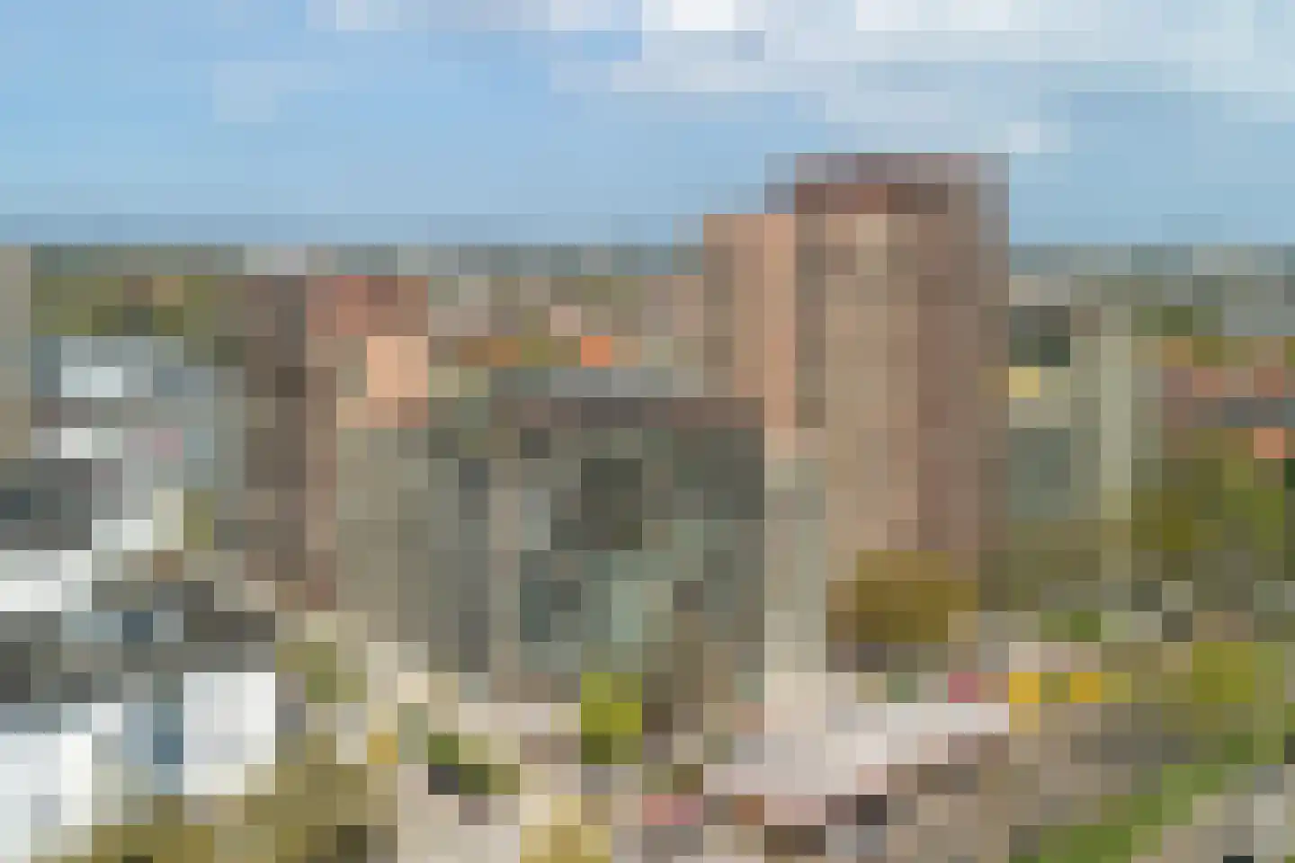Ananasweg 114 Leiden thumbnail 49