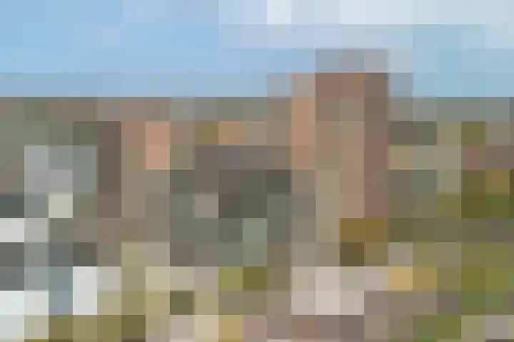 Ananasweg 114 Leiden thumbnail 49