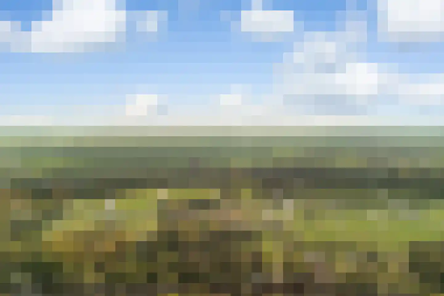 Ananasweg 114 Leiden thumbnail 58