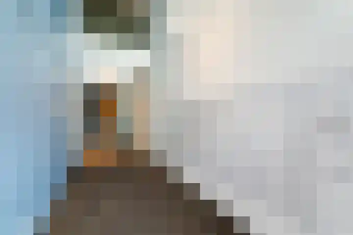 Ananasweg 114 Leiden thumbnail 6