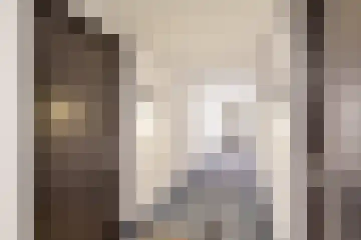 Ananasweg 114 Leiden thumbnail 8