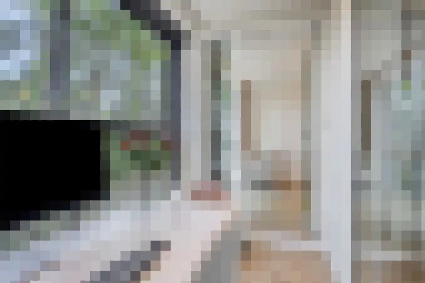 Ananasweg 12 Leiden thumbnail 13