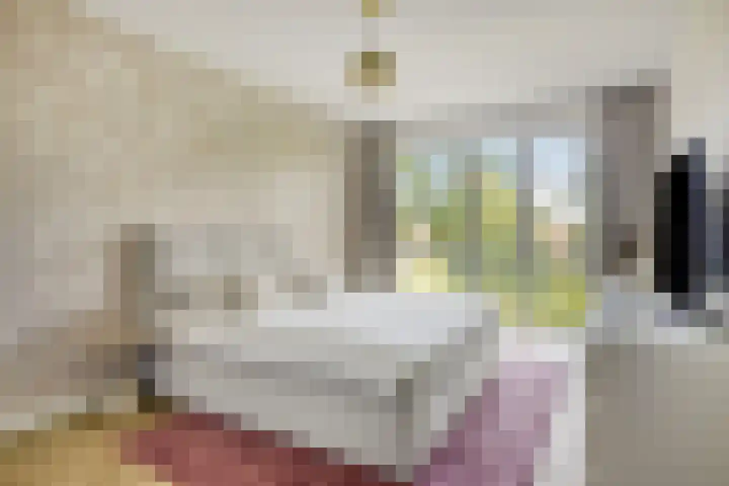 Ananasweg 12 Leiden thumbnail 17