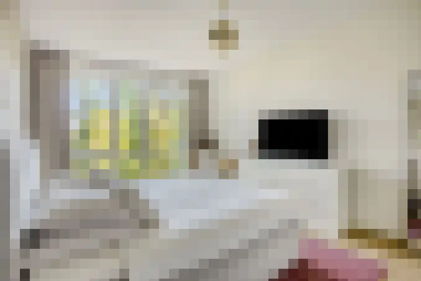 Ananasweg 12 Leiden thumbnail 18