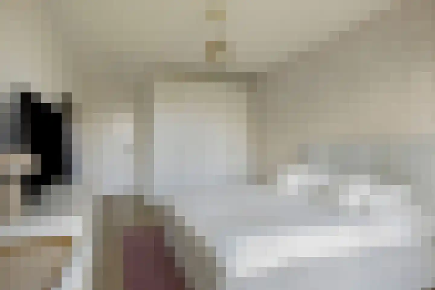 Ananasweg 12 Leiden thumbnail 19