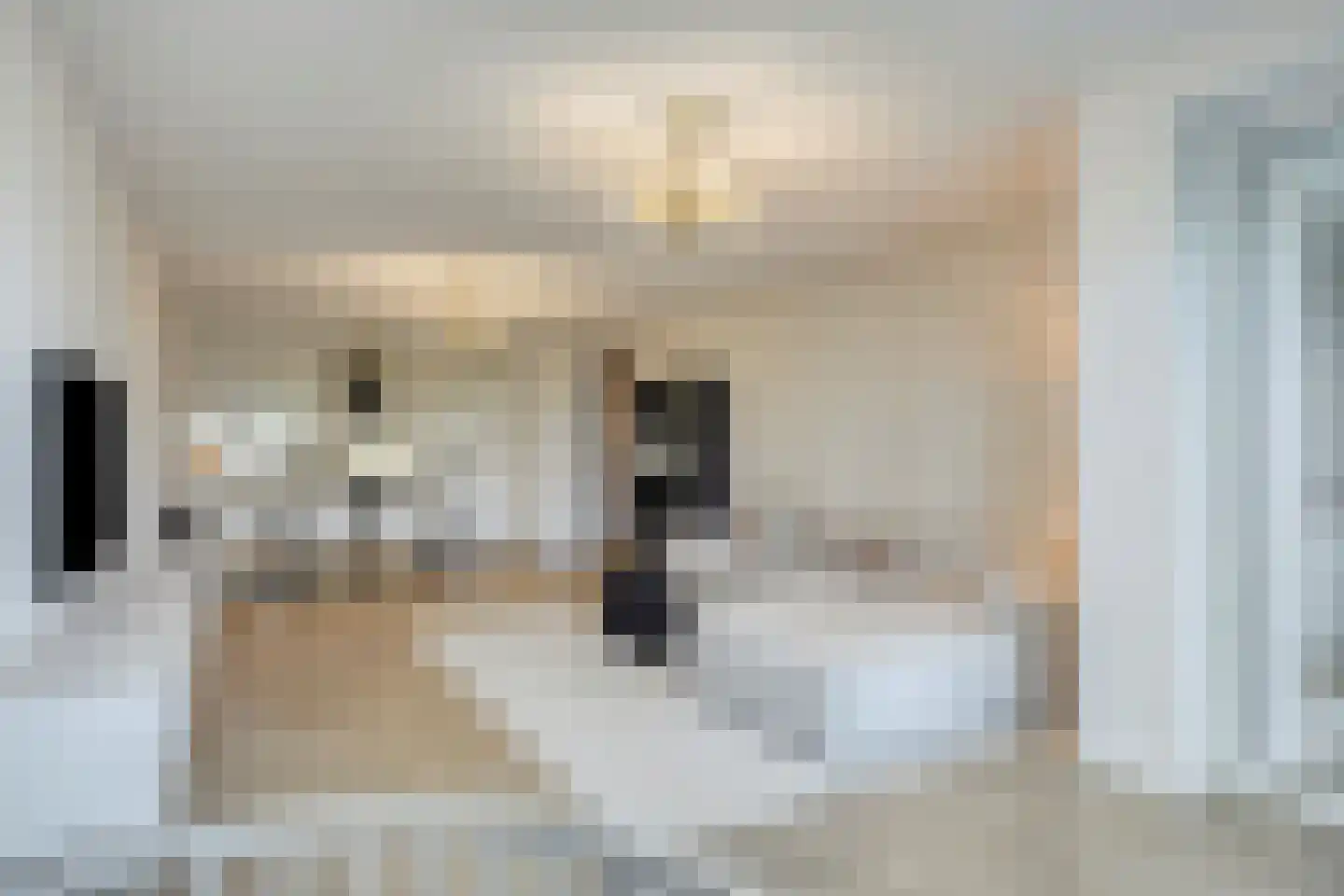 Ananasweg 12 Leiden thumbnail 5
